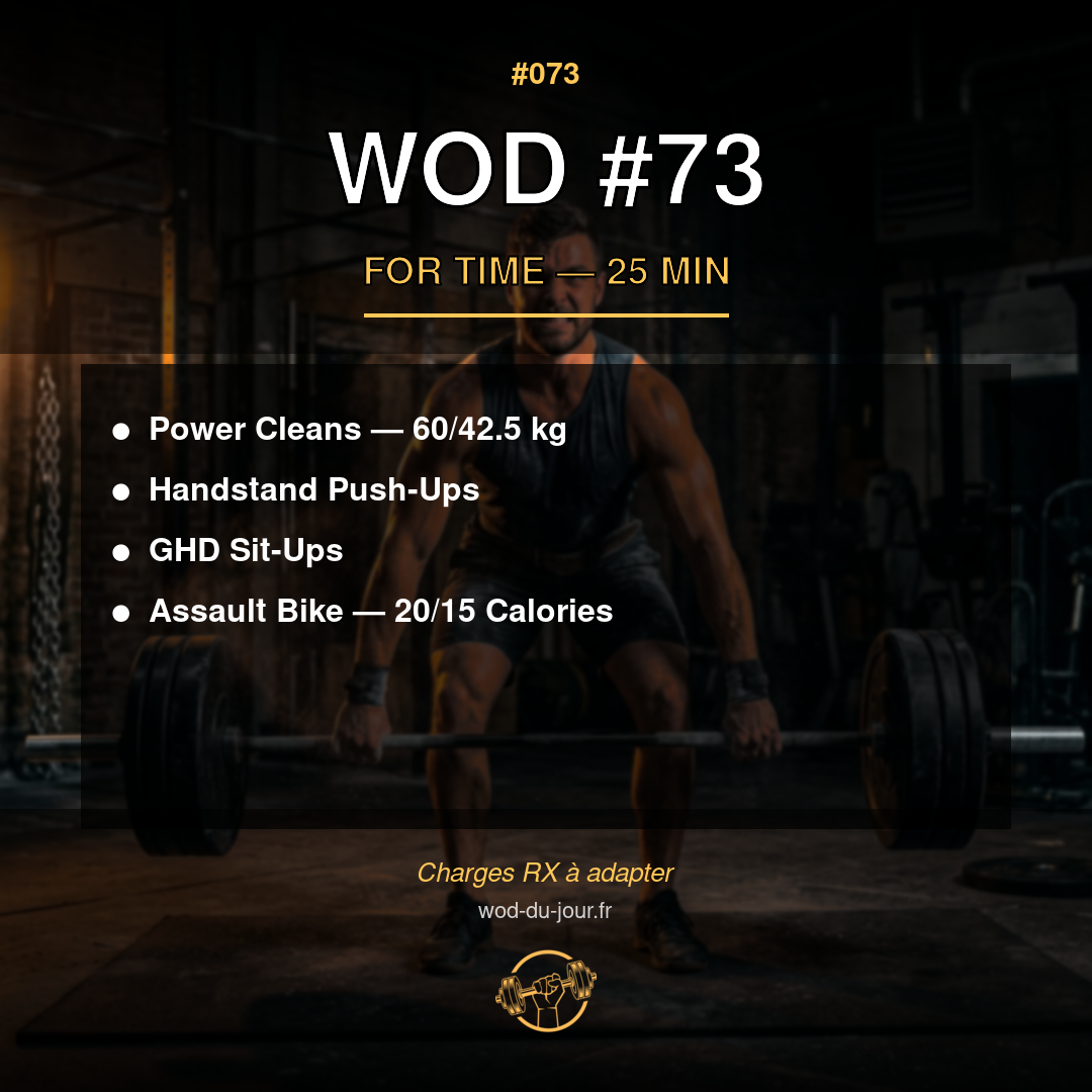WOD #73 CrossFit — infographie